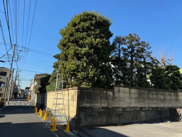 【土日祝対応可】一級造園技能士施工☆初回庭木消毒サービス無料★損害保険加入済サービスの画像