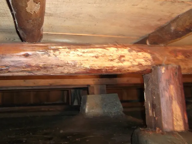 ◎安心価格でシロアリ駆除をお探しなら当店へ◎　☆群馬県＆埼玉県北部はお任せ☆サービスの画像