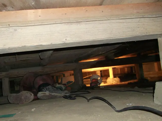 ◎安心価格でシロアリ駆除をお探しなら当店へ◎　☆群馬県＆埼玉県北部はお任せ☆サービスの画像