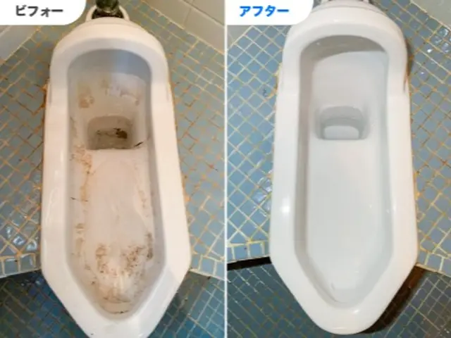 イヤなニオイの原因になる、手の届きにくい部分の汚れもすっきり！隅々までピカピカ！サービスの画像