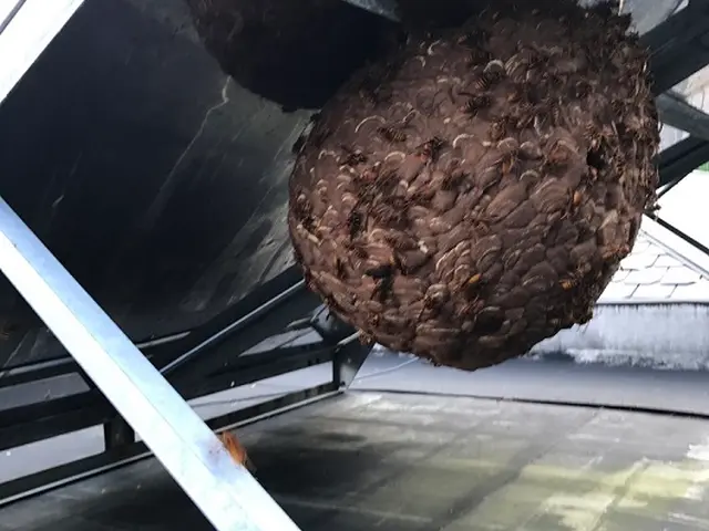 ＜地域密着！歴10年以上＞すべて自社のベテラン作業員が丁寧にご対応！サービスの画像