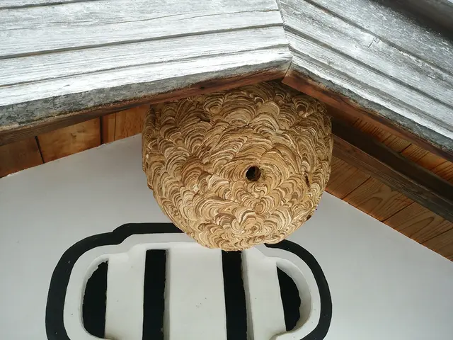 ＜地域密着！歴10年以上＞すべて自社のベテラン作業員が丁寧にご対応！サービスの画像