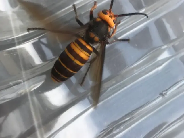 ＜地域密着！歴10年以上＞すべて自社のベテラン作業員が丁寧にご対応！サービスの画像