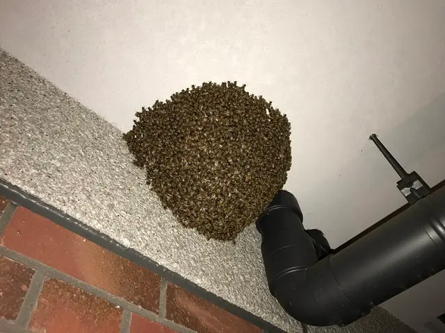 ＜地域密着！歴10年以上＞すべて自社のベテラン作業員が丁寧にご対応！サービスの画像