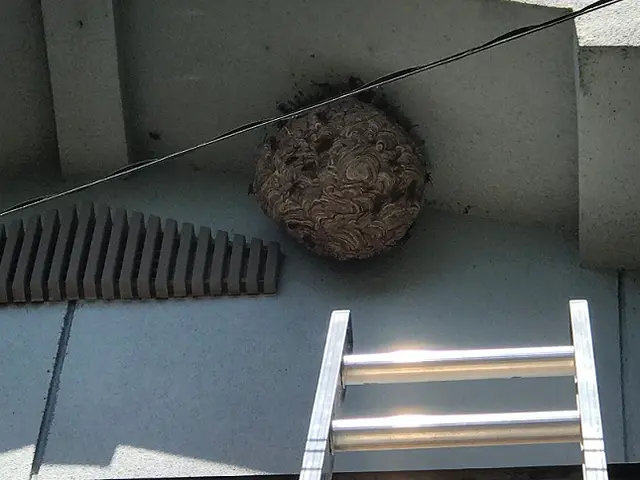 ＜地域密着！歴10年以上＞すべて自社のベテラン作業員が丁寧にご対応！サービスの画像