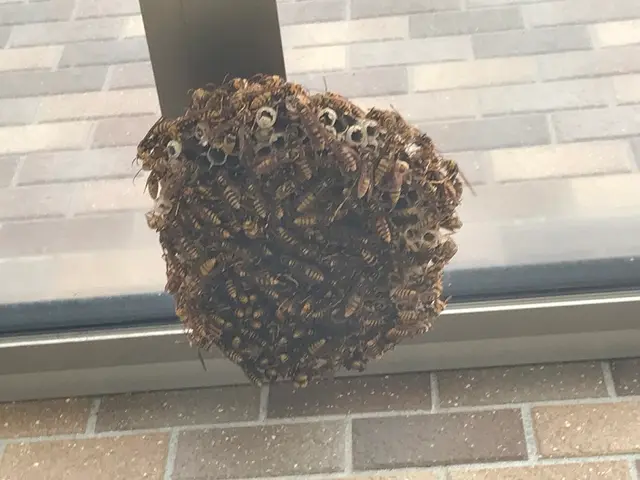 ＜地域密着！歴10年以上＞すべて自社のベテラン作業員が丁寧にご対応！サービスの画像