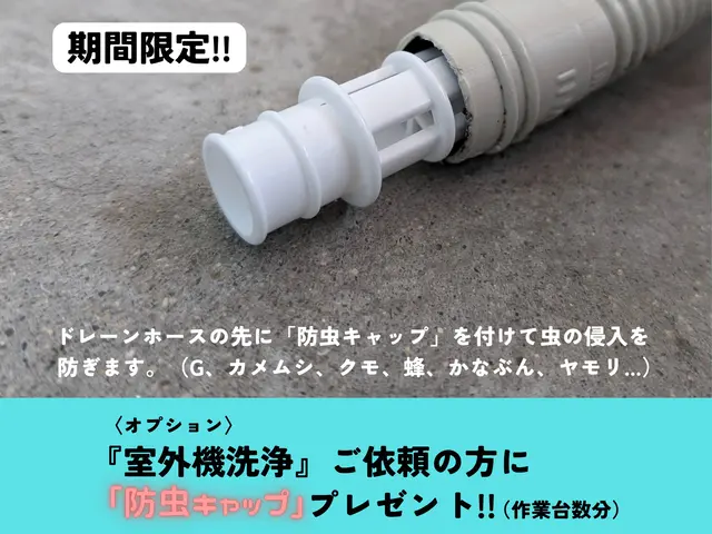 【ハウスクリーニング士】ラグジュアリー洗浄でカビ徹底除去♪損害保険加入◎非喫煙◎サービスの画像