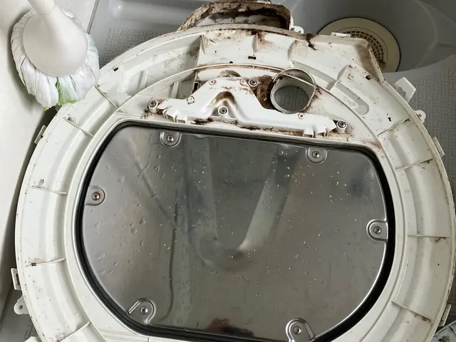 仙台市子育て奮闘パパ☆育児目線や子供目線からしっかりとお掃除致します。サービスの画像