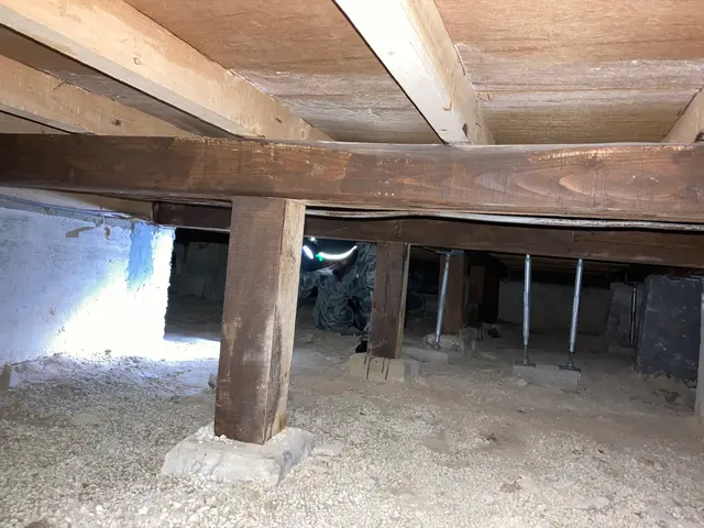 完全駆除のご提案など、屋根裏の騒音被害など日頃のストレスを完全に無くします！サービスの画像