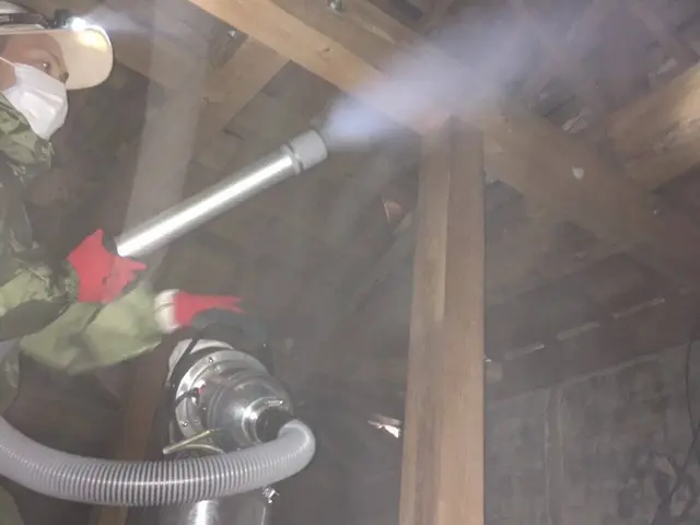 完全駆除のご提案など、屋根裏の騒音被害など日頃のストレスを完全に無くします！サービスの画像