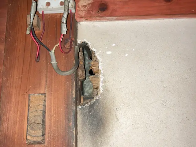 完全駆除のご提案など、屋根裏の騒音被害など日頃のストレスを完全に無くします！サービスの画像