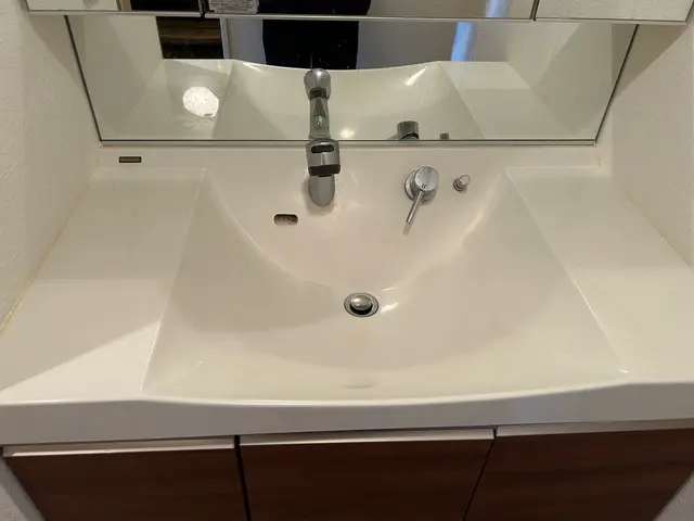 【必ず女性店長が施工♪】毎日使う洗面所を綺麗スッキリ★エリア外/時間外もOK◉サービスの画像