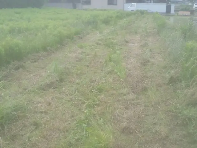 【香川県中心に対応】実績豊富なスタッフが対応！営業時間外もご相談可能◎サービスの画像