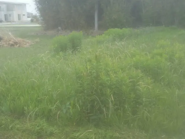 【香川県中心に対応】実績豊富なスタッフが対応！営業時間外もご相談可能◎サービスの画像