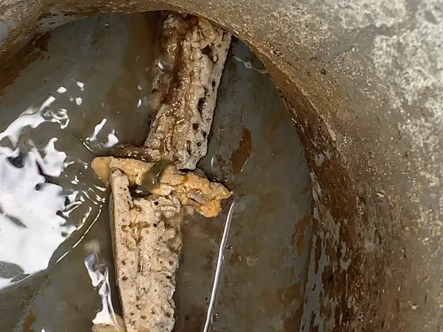 排水ホース・トラップ等の部品も分解して綺麗に☆おそい流れも汚れもスッキリ解決！サービスの画像