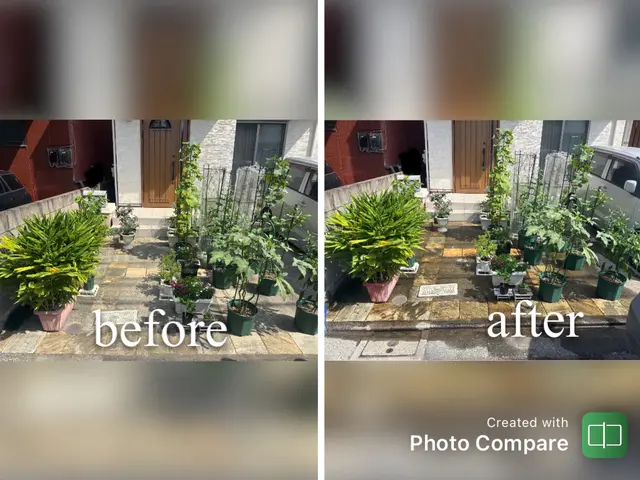 植物毎に適切な水やりをします♪サービスの画像