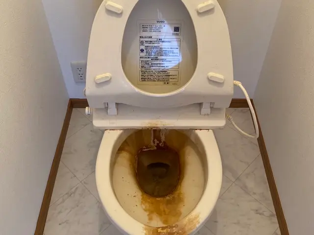 沼津市発◎損害保険加入済◎駐車代当店負担◎まごころ込めてピカピカにいたします！サービスの画像