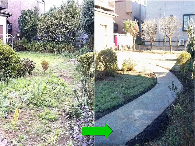 【1級造園施工管理技士】お任せ下さい！大切な植木。プロの技術で対応いたします！サービスの画像