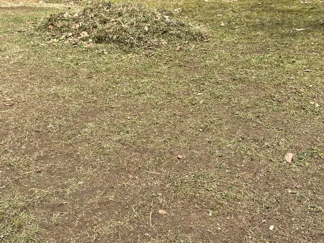 【地域密着店】空き家、空地、畑など草刈り作業致します。50平米＝15坪サービスの画像