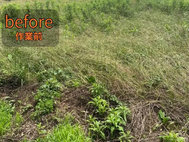 【地域密着店】空き家、空地、畑など草刈り作業致します。50平米＝15坪サービスの画像