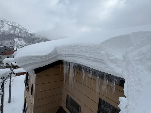 ◯保険加入済◯雪かき、雪下ろしはお任せ下さい！軽トラにて排雪も対応致します！サービスの画像