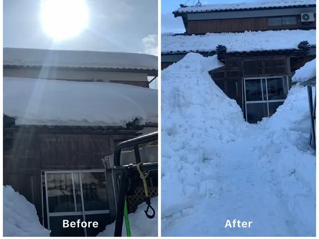◯保険加入済◯雪かき、雪下ろしはお任せ下さい！軽トラにて排雪も対応致します！サービスの画像