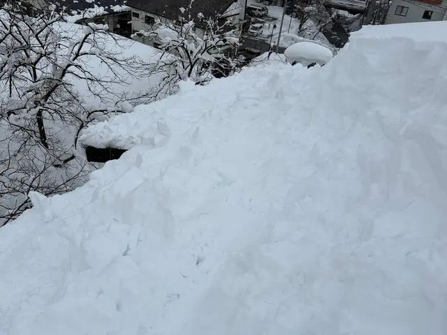 ◯保険加入済◯雪かき、雪下ろしはお任せ下さい！軽トラにて排雪も対応致します！サービスの画像