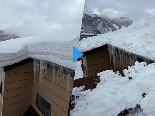 ◯保険加入済◯雪かき、雪下ろしはお任せ下さい！軽トラにて排雪も対応致します！サービスの画像