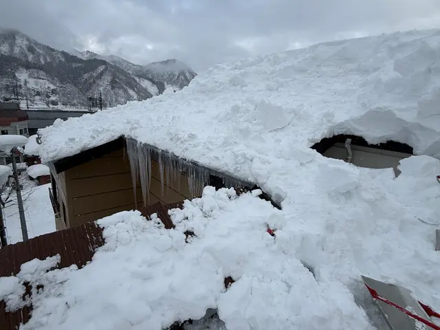 ◯保険加入済◯雪かき、雪下ろしはお任せ下さい！軽トラにて排雪も対応致します！サービスの画像
