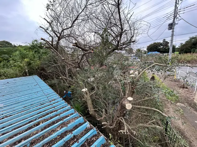 【概算見積り】【即日対応】【予算内お手入れ可】【2000件超と修行歴10年以上】サービスの画像
