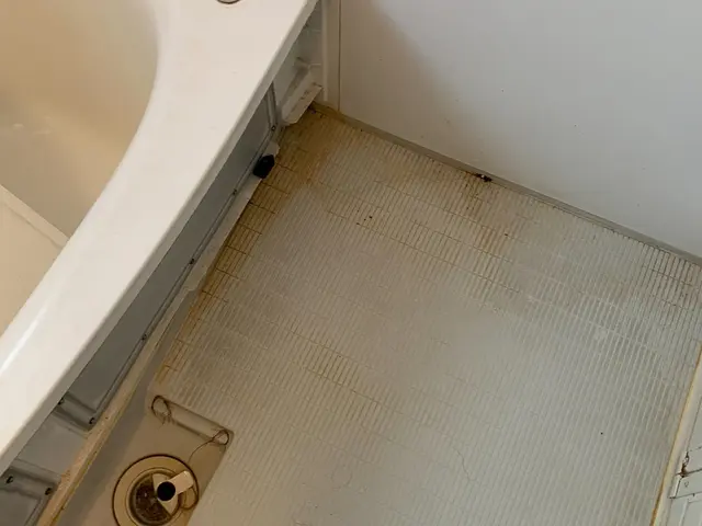 【大手の業務経験も豊富】店長の私が対応致します！必ずお客様を満足と感動させます！サービスの画像