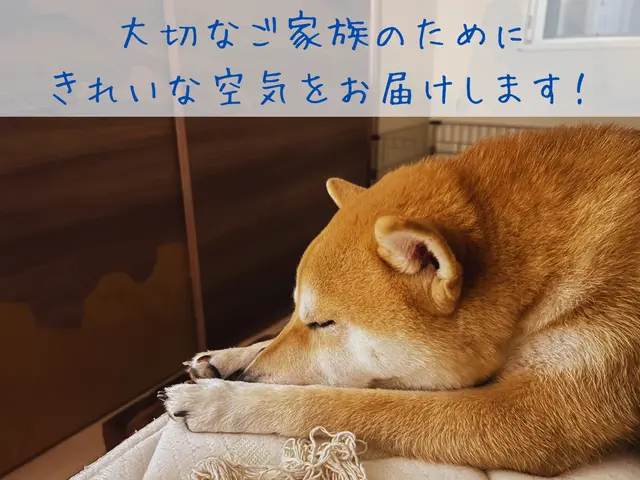 ★ペット・赤ちゃんのいるお家歓迎★エコ洗剤対応◎臭い・カビを徹底除去！複数割引有サービスの画像