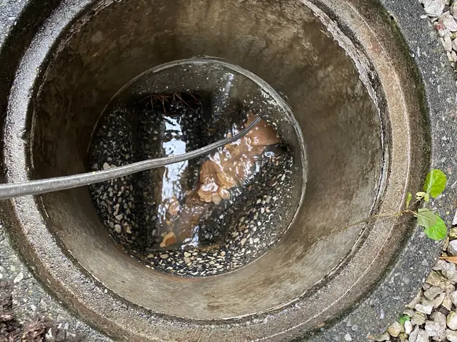 臭いが気になりだしたり、異音や排水の速度に違和感を感じたらメンテのサインですサービスの画像