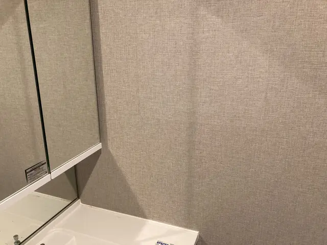 壁に開いてしまった穴…きれいに直します！サービスの画像