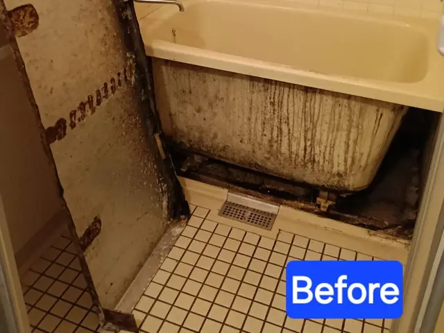 ◉カビ◉水垢◉石鹸カス徹底除去！お風呂と『ついでに』セットもお得に好評中です！！サービスの画像