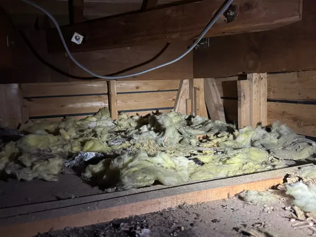 200件以上の実績！無料診断から始まるハクビシン・アライグマ・イタチ駆除サービスサービスの画像