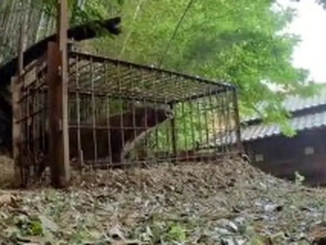 200件以上の実績！無料診断から始まるハクビシン・アライグマ・イタチ駆除サービスサービスの画像