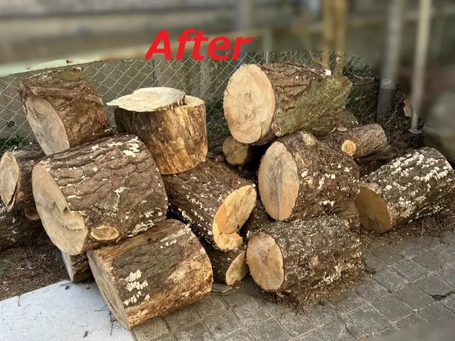 枯れてしまった庭木や管理が難しくなった庭木の伐採を行います。サービスの画像