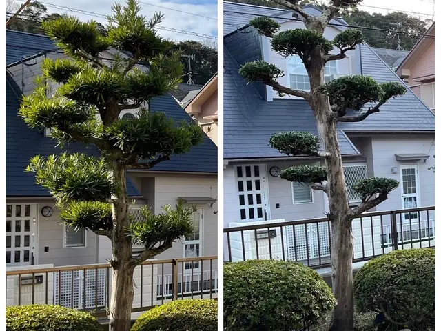 伸びすぎた庭木の剪定！ついでに害虫や病気予防に消毒も◎定期的な施工がオススメ♪サービスの画像