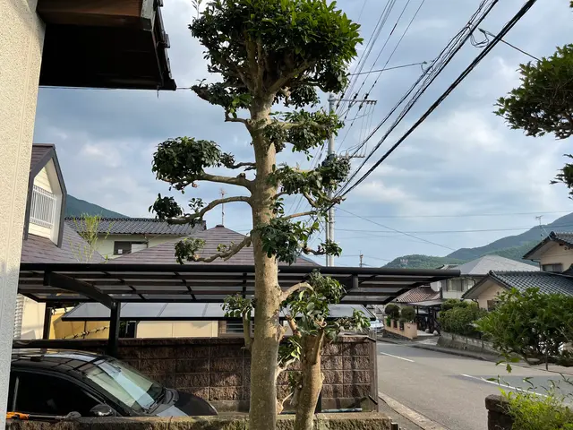 伸びすぎた庭木の剪定！ついでに害虫や病気予防に消毒も◎定期的な施工がオススメ♪サービスの画像