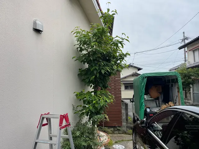 伸びすぎた庭木の剪定！ついでに害虫や病気予防に消毒も◎定期的な施工がオススメ♪サービスの画像