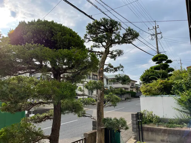 伸びすぎた庭木の剪定！ついでに害虫や病気予防に消毒も◎定期的な施工がオススメ♪サービスの画像