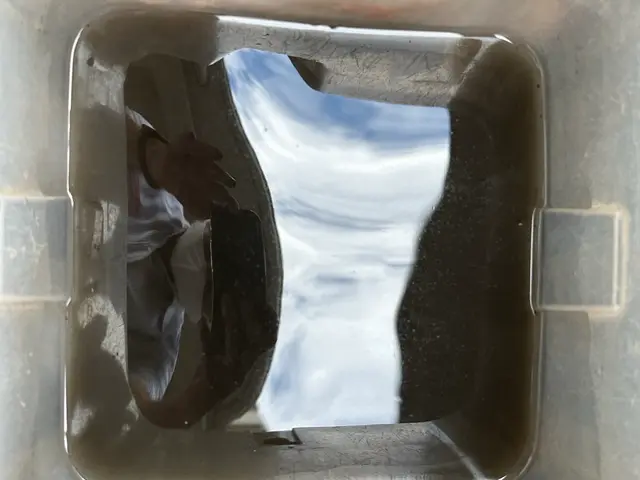 年間500台以上の洗浄実績！壁掛けエアコン分解洗浄（お掃除機能付きも同一料金）サービスの画像