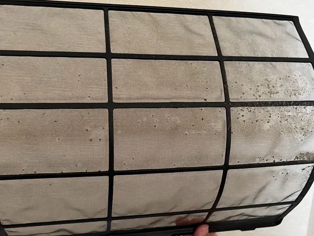 カビ・匂いをスッキリして快適に過ごしませんか？サービスの画像