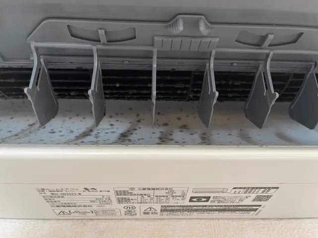 カビ・匂いをスッキリして快適に過ごしませんか？サービスの画像