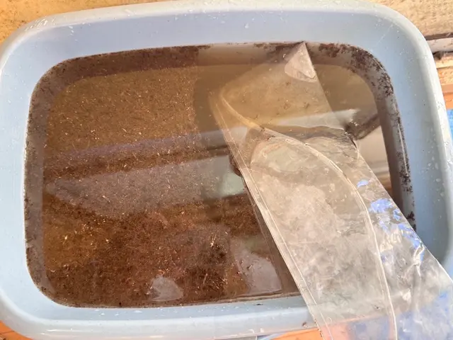 ◆◇徹底洗浄で快適空間◇◆ 今だけ新規出店キャンペーン！サービスの画像