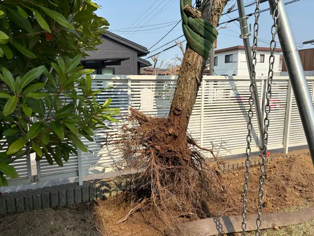 大きくなり過ぎた庭木に悩んでいませんか？【業歴20年】是非お任せください☆サービスの画像