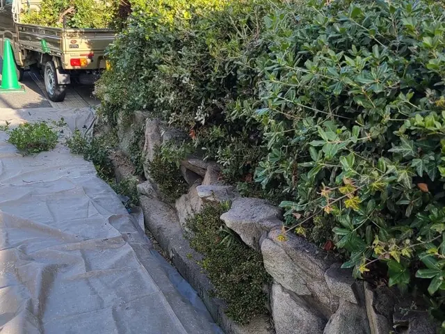 大きくなり過ぎた庭木に悩んでいませんか？【業歴20年】是非お任せください☆サービスの画像