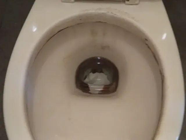 お風呂クリーニングの追加の場合のみのご予約ですサービスの画像