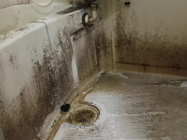 浴室クリーニングサービスの画像